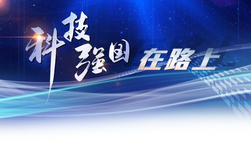 定制化与标准化：教育机构数字化解决方案的差异化选择**