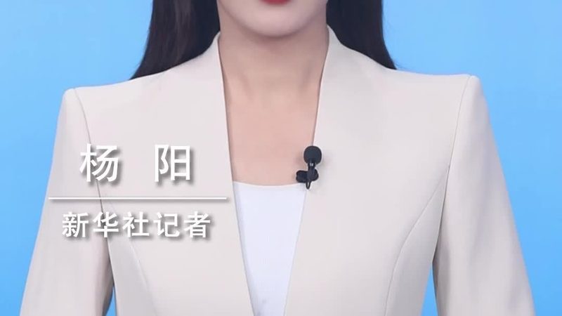 企业供应链管理的数字化转型之路**